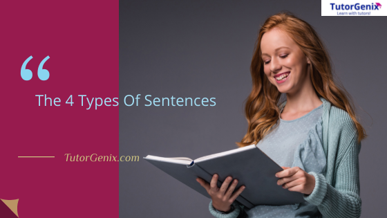 What are the 4 types of sentences?