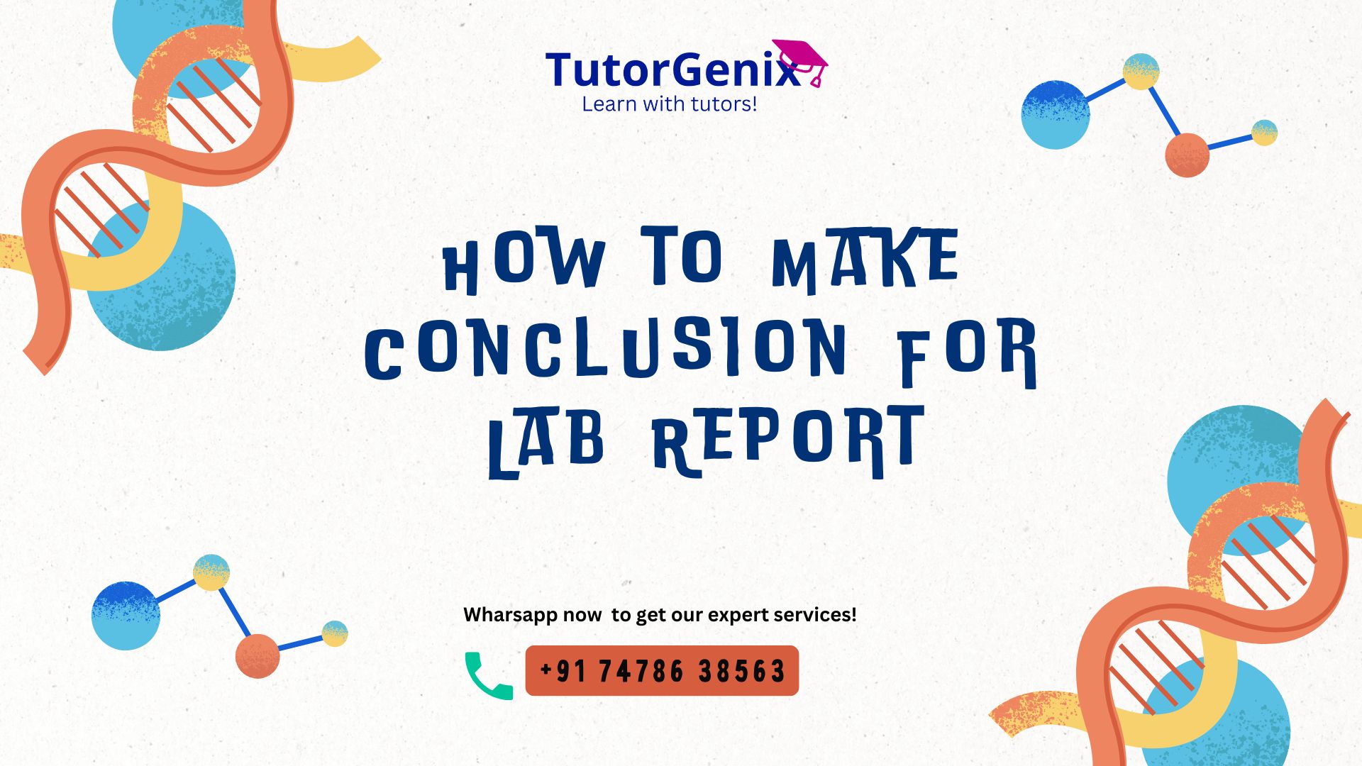 How to Write Conclusion For Lab Report- Tips and Techniques for Physics Success