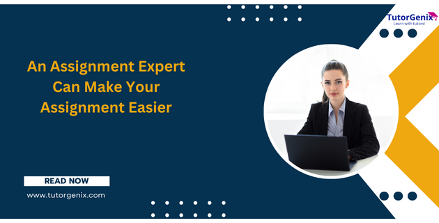 An Assignment Expert Can Make Your Assignment Easier